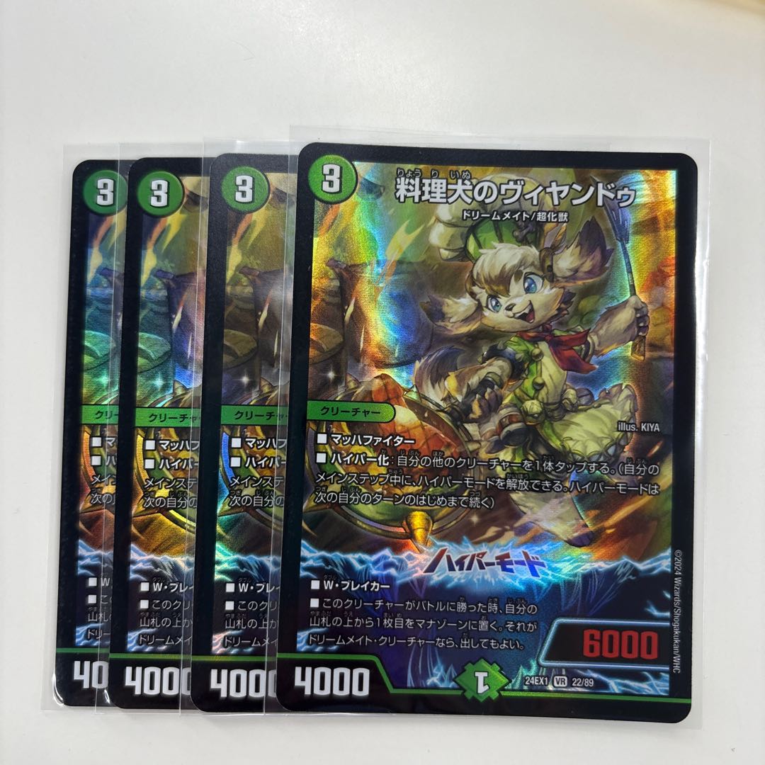 Cooking dog Vyandu VR 22/89