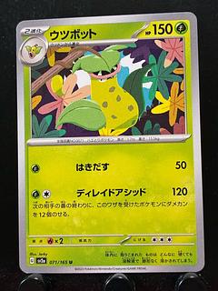 Rakurakudo] Pokeka Victreebel