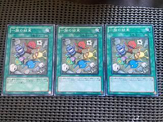 Y-52 Solidarity Normal JP054