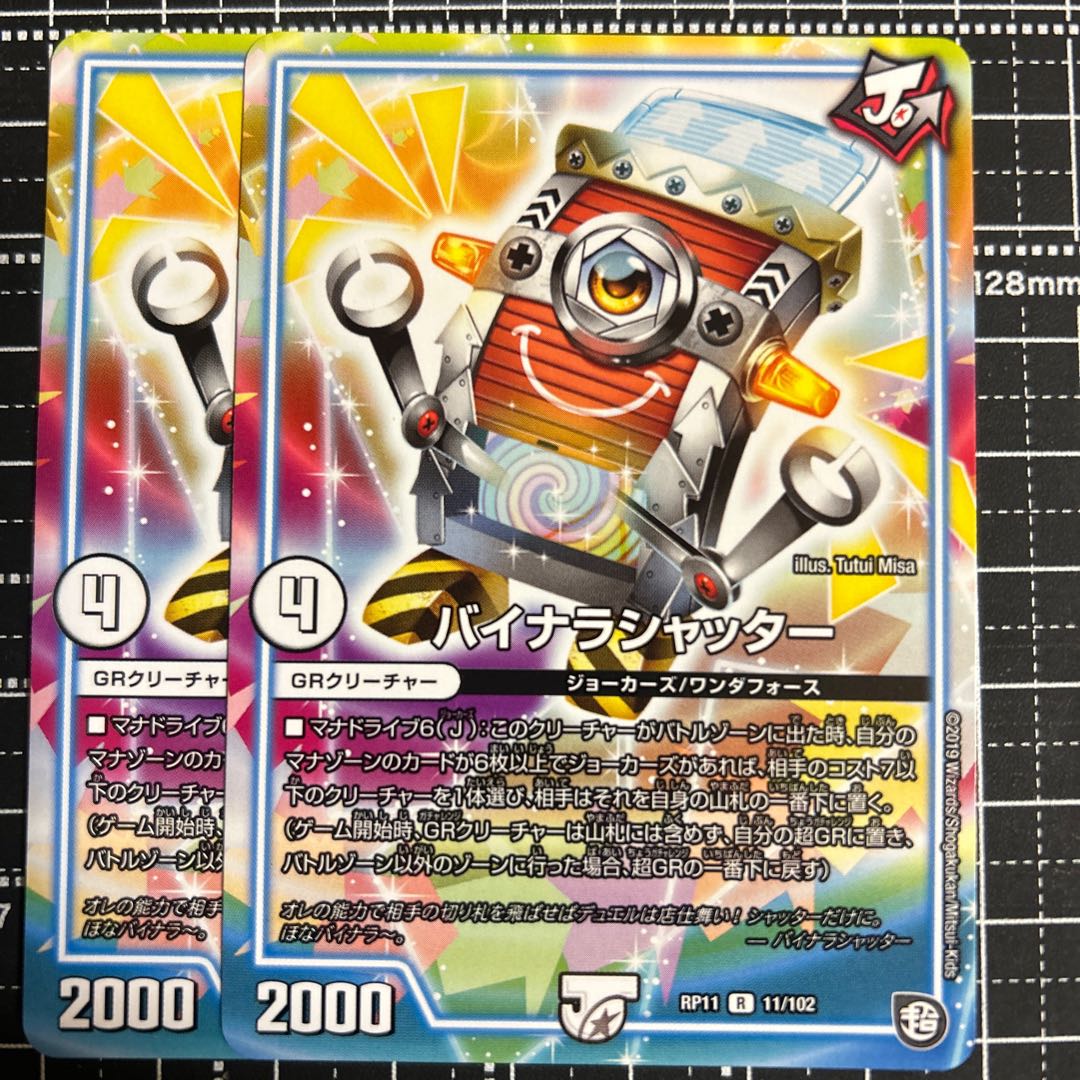 バイナラシャッター R 11/102