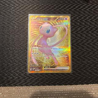 Vivify SAR 243/172 in Gardenia 1枚