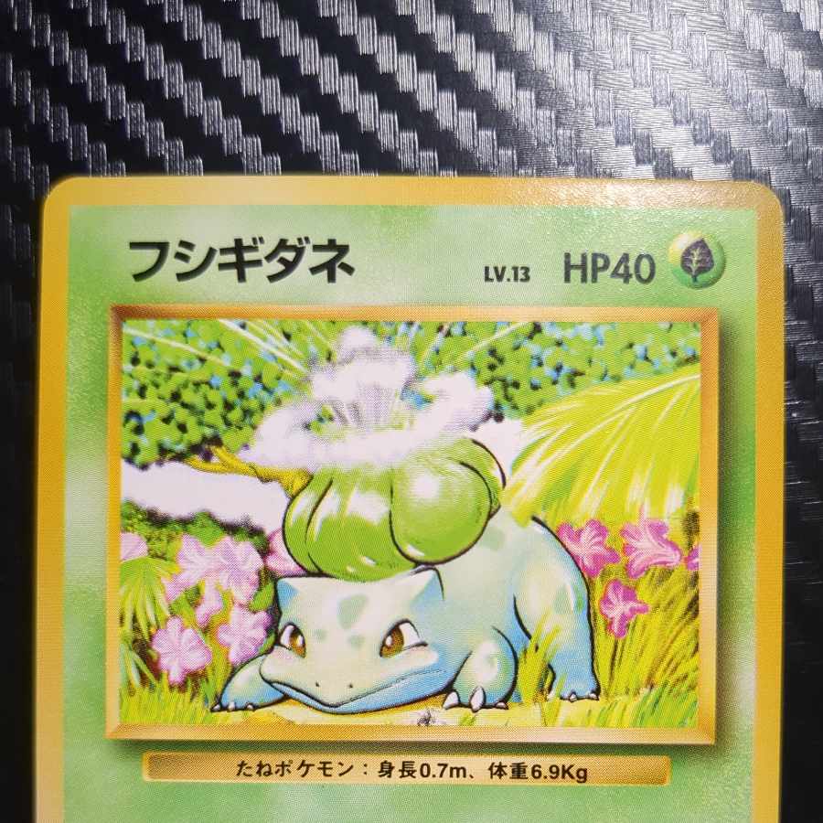 Beautiful. Beautiful Bulbasaur marked old back ★ 1枚