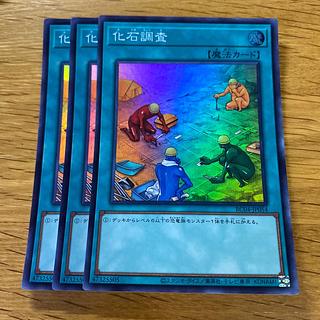 化石調査 スーパーレア JP054