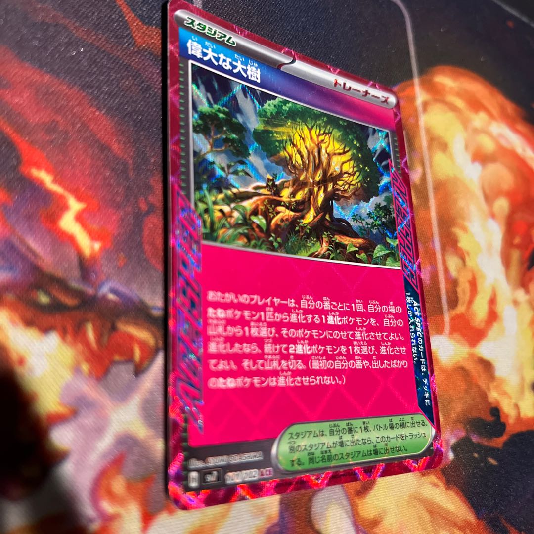 The great big tree (1)