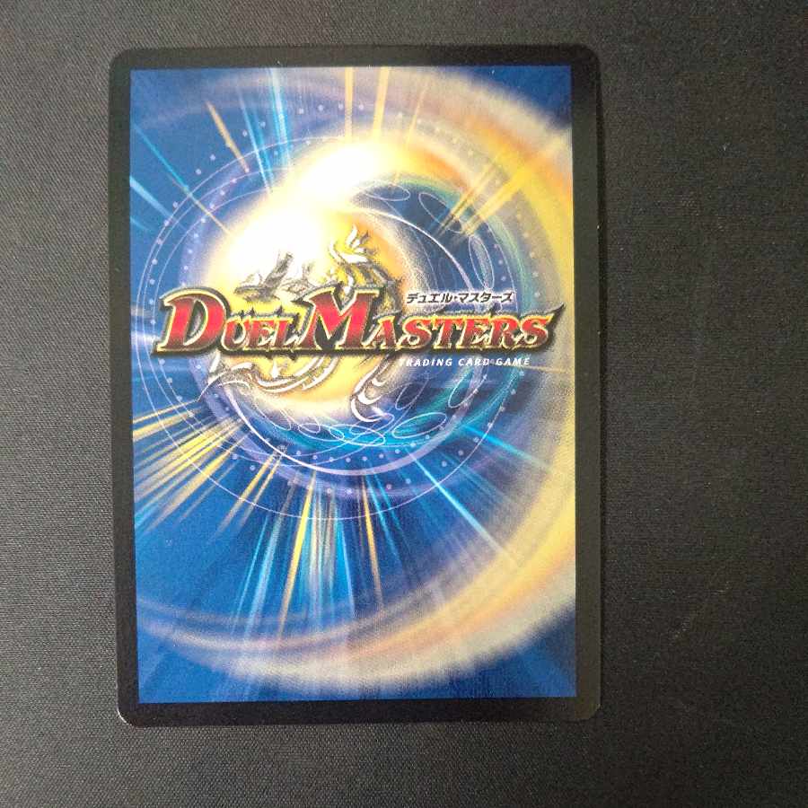 時の法皇 ミラダンテXII LEG L3/L3