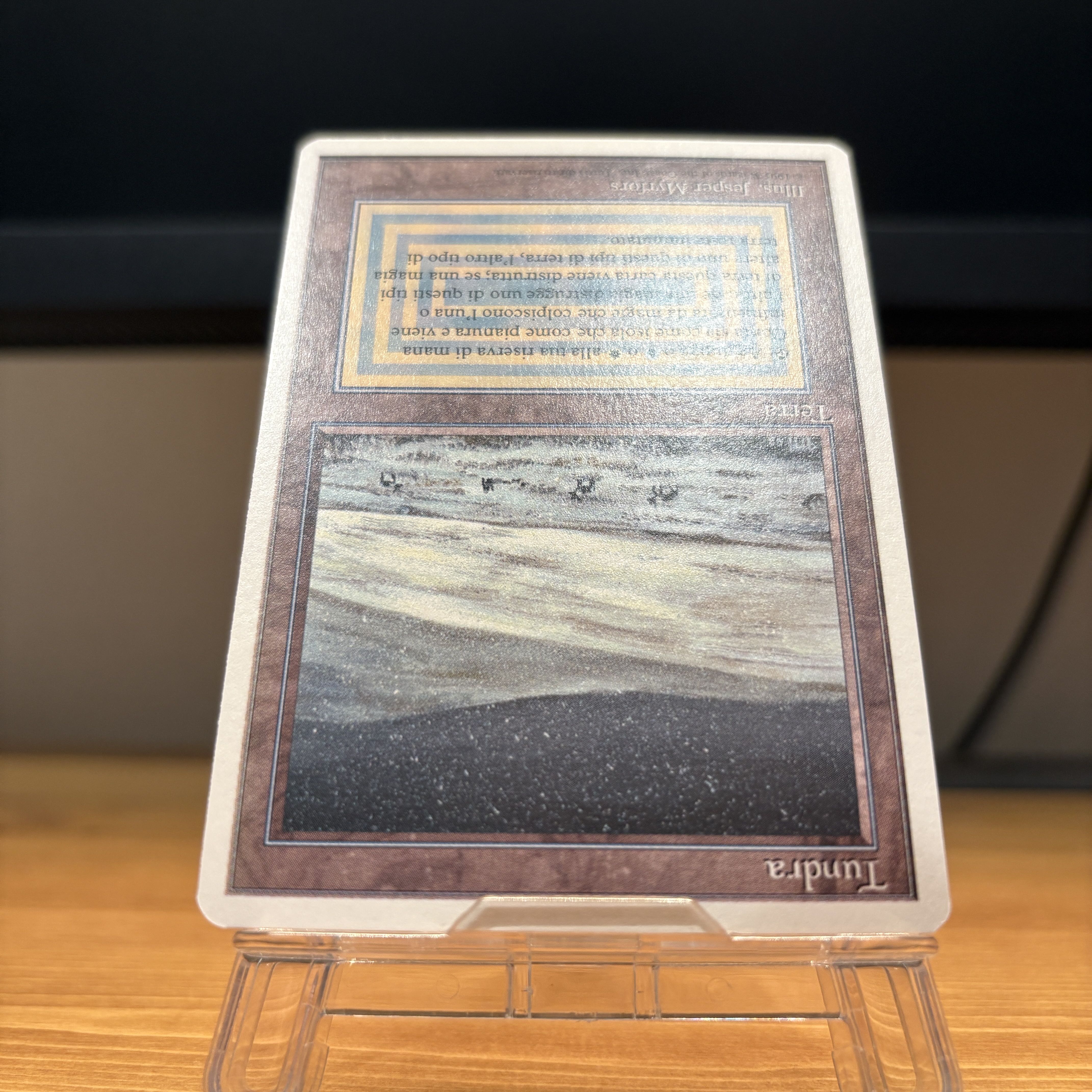 [PLD]Tundra 3ED Revised Dual Land MTG 1枚