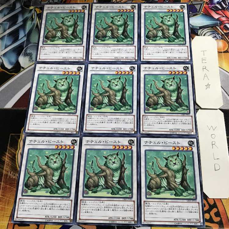 Monk of the Tenyi RIRA 1 Normal 9-card set Tera