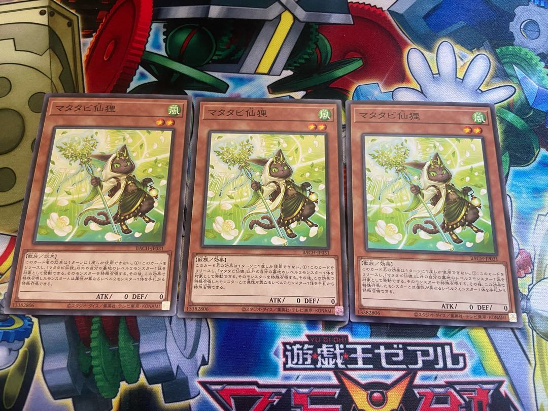 Y-840 Matatabi sengan tanuki normal JP031