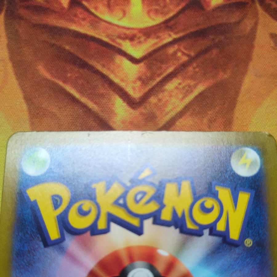 カキツバタ SAR 229/187