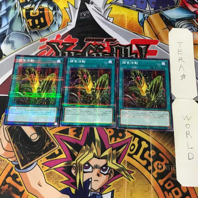 Predapractice SUB1 1 Normal Parallel Magic Set of 3 Tera