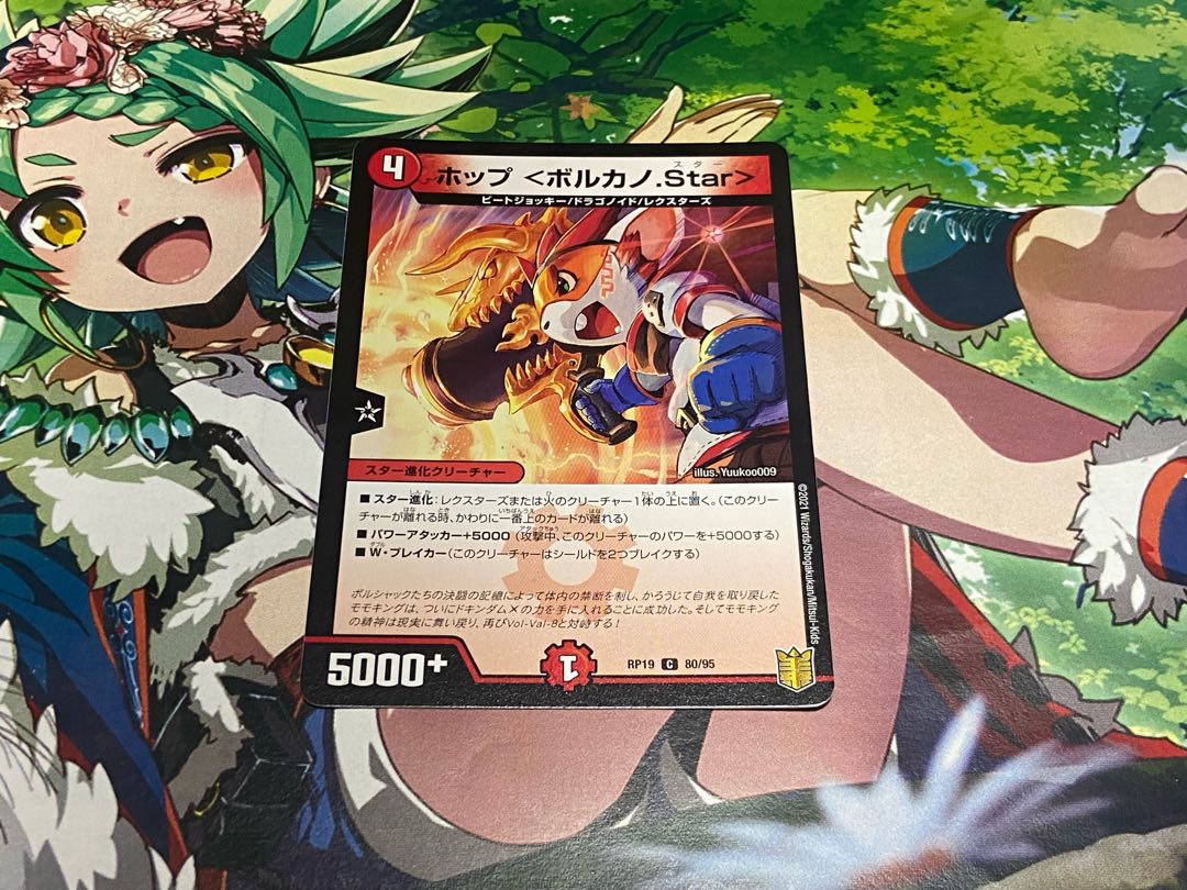 D-391 ホップ <ボルカノ.Star> C 80/95 1枚