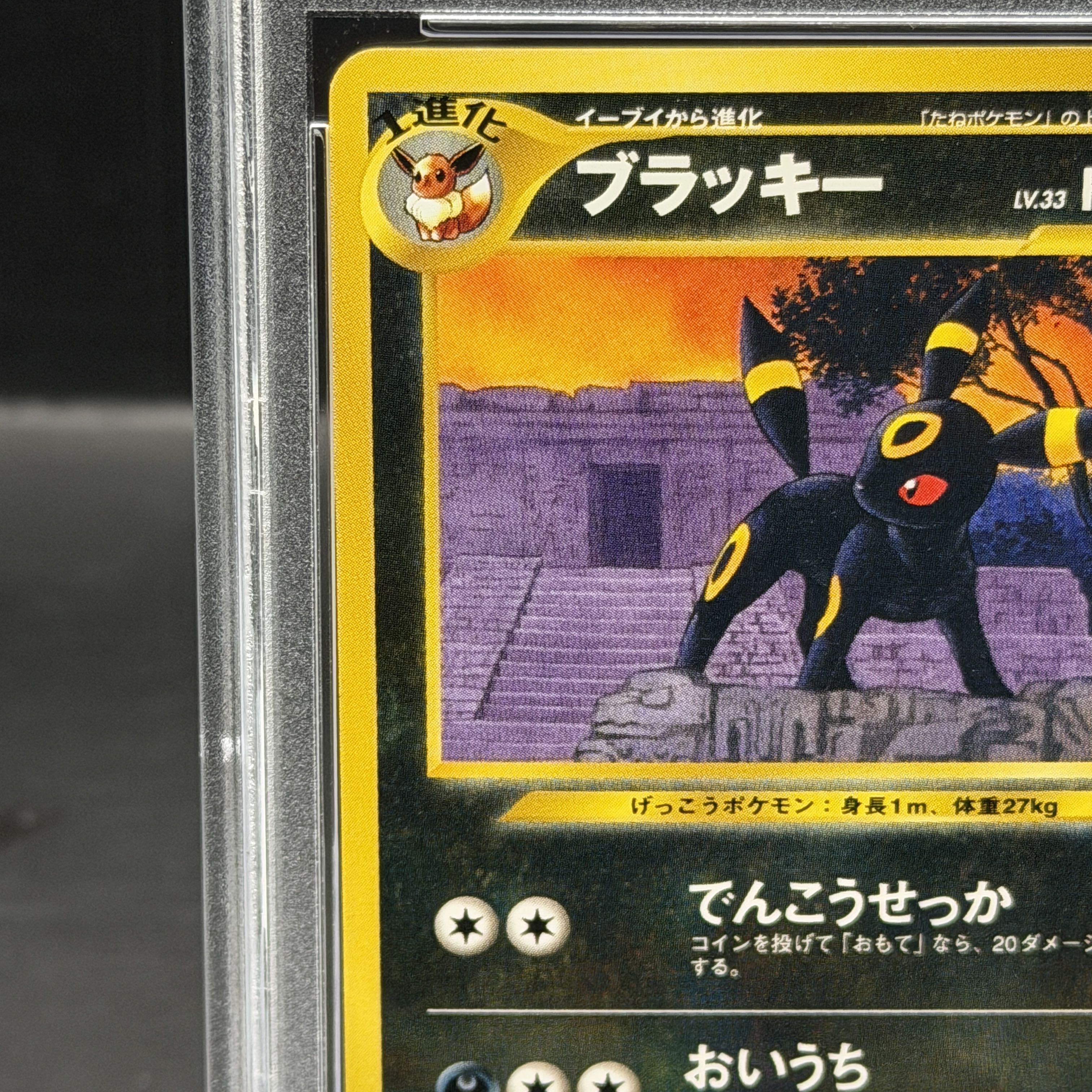 [PSA10] Umbreon Premium File Old Back 1枚