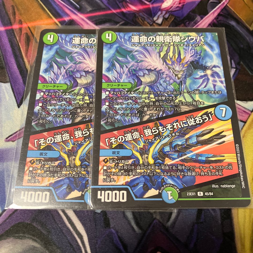 Shiba, SS of Fate｜"That fate, we shall follow it" R 45/84