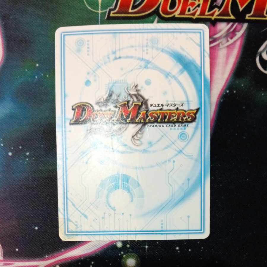 C.A.P. カイト SR P24/Y18 1枚