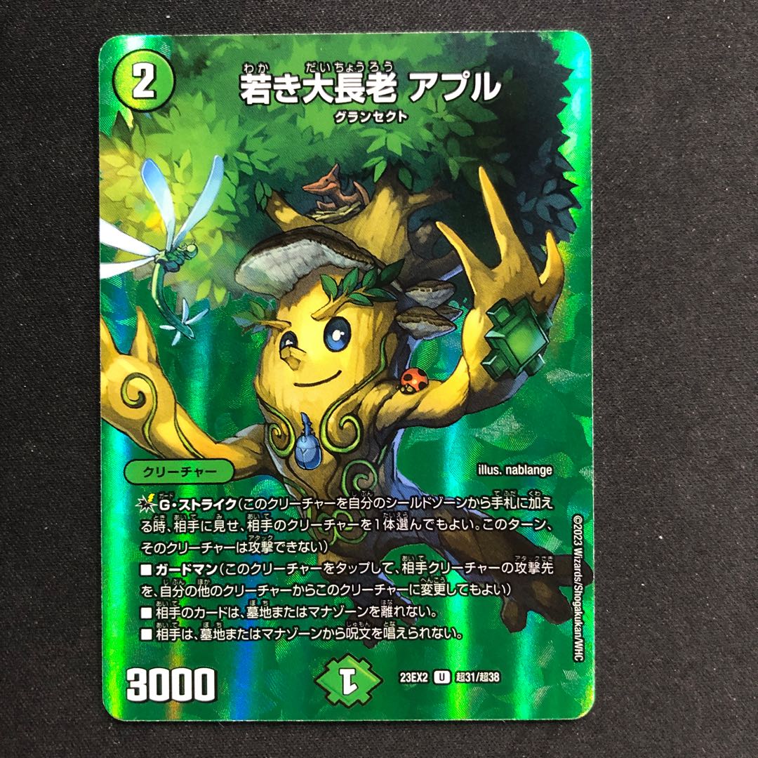 若き大長老 アプル U-foil 超31/超38