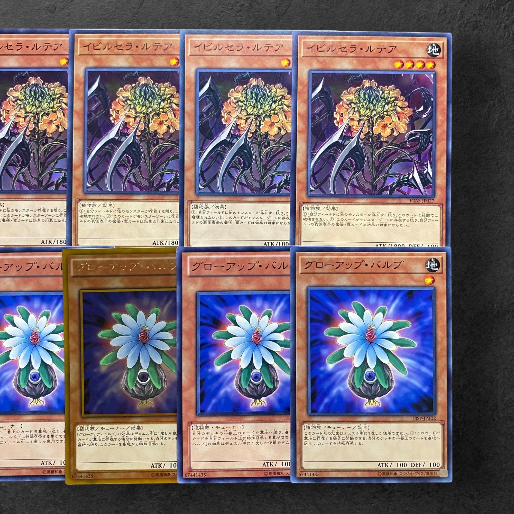 5984【遊戯王】イビルセラ・ルテア　グローアップ・バルブ　各5枚セット