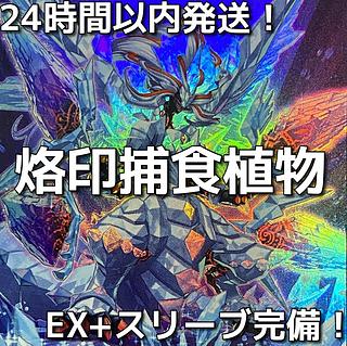 烙印 デッキ」の激安通販 | magi 烙印 デッキ」の激安通販 | magi