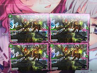 IXI ヤマイオン SR S12/S12 4枚