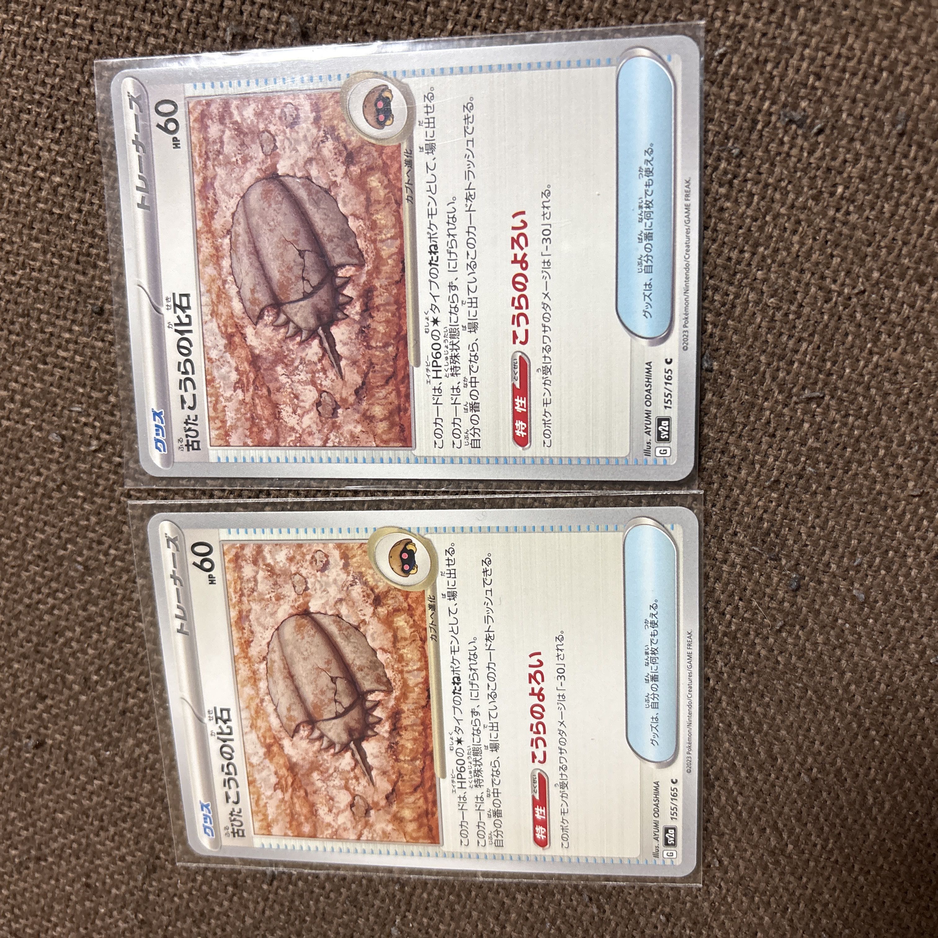 only) Old koura fossil C 155/165 2枚