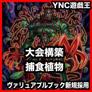 遊戯王 捕食植物 デッキ 本格構築 デェアデビル オフリススコーピオ スターヴヴェノムフュージョンドラゴン 血樹竜姫ドラセレア 1枚