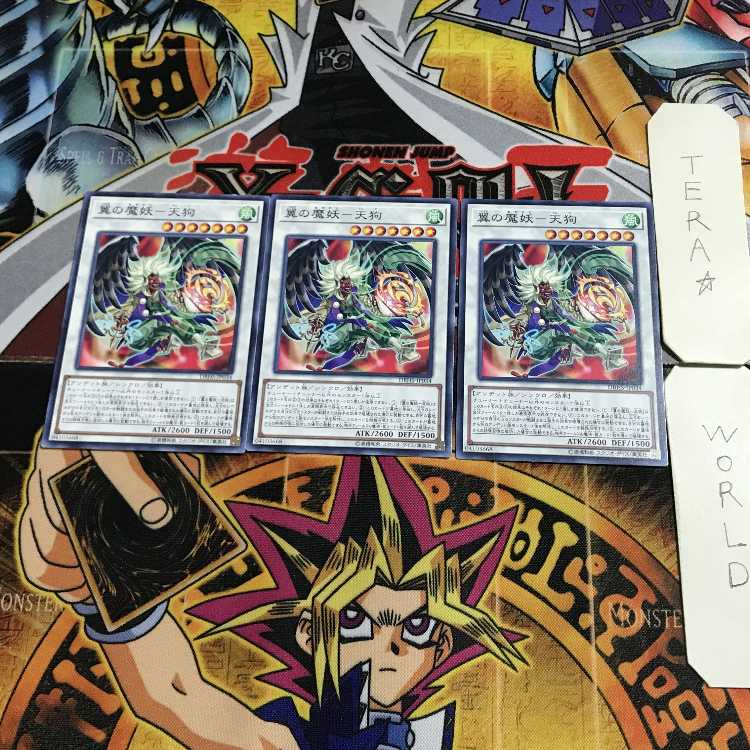 Winged Demon-Gu - Tengu DBHS 1 Normal, set of 3 Tera