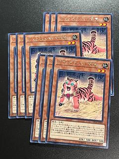 アマゾネスペット仔虎