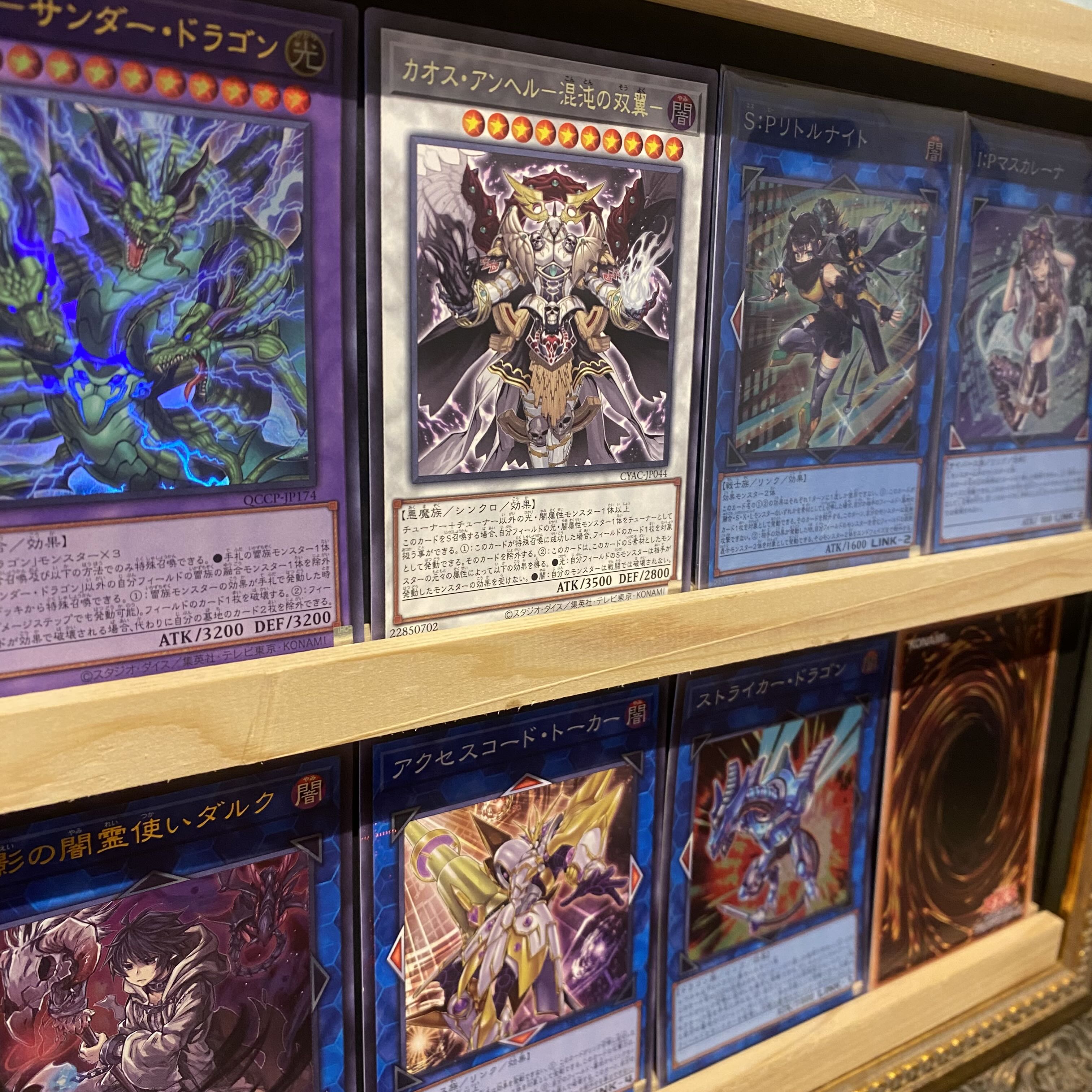 即日発送!大会用【サンダードラゴン 】 デッキ 遊戯王 雷神龍 即日発送!大会用【サンダードラゴン 】 デッキ 遊戯王 雷神龍
