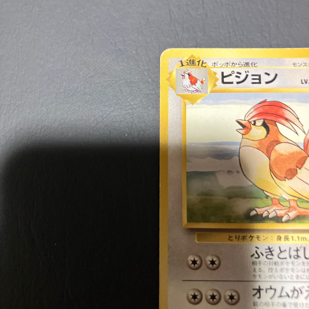 【状態】C ポケカ　旧裏　マークなし　ピジョン 1枚
