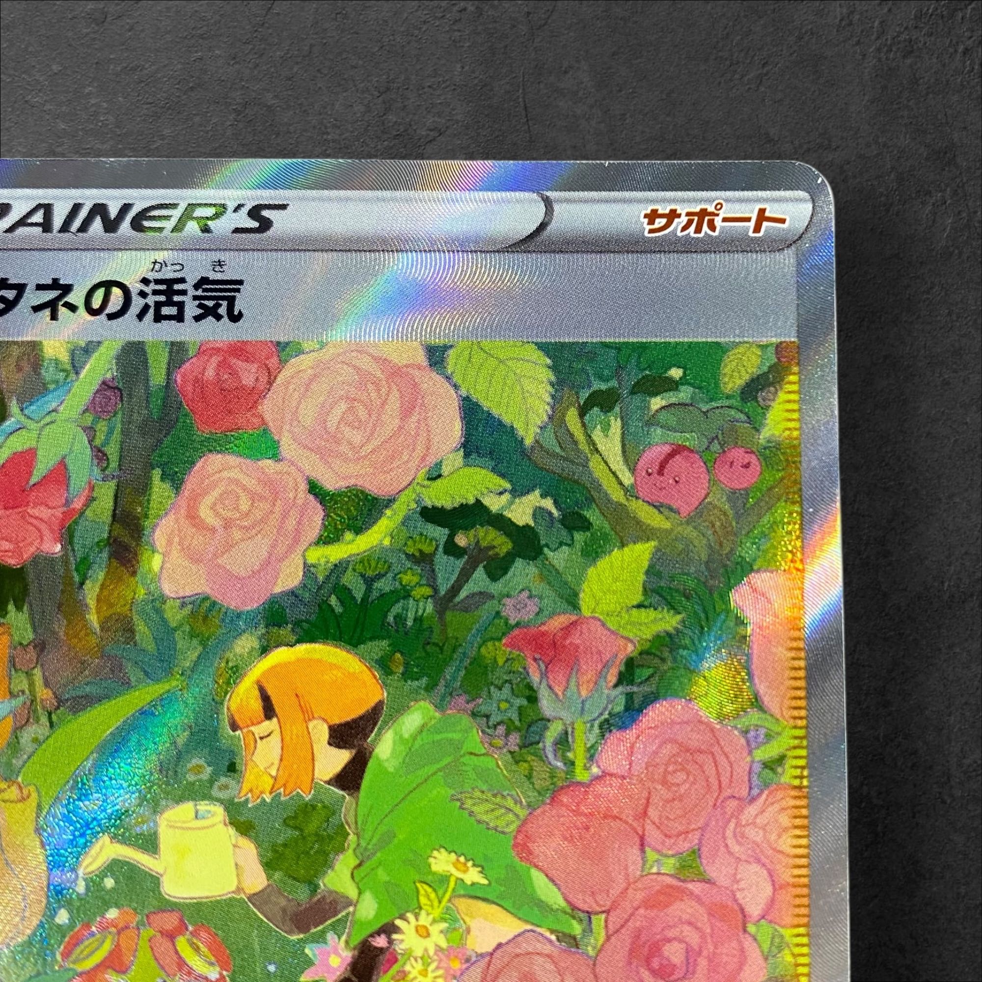 A406 [Pokémon Card] Vivify of Gardenia 243/172 [SAR