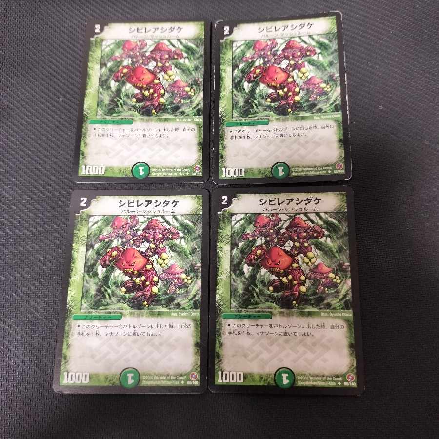 シビレアシダケ U 88/140