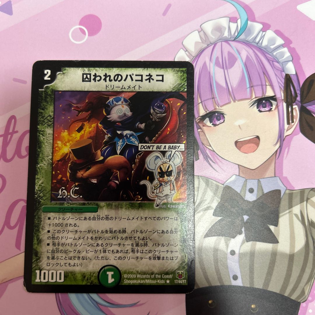 Paconeco (H.C.) R 17/44/Y7