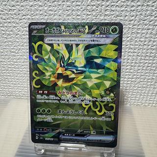 オーガポンみどりのめんex SAR 125/101