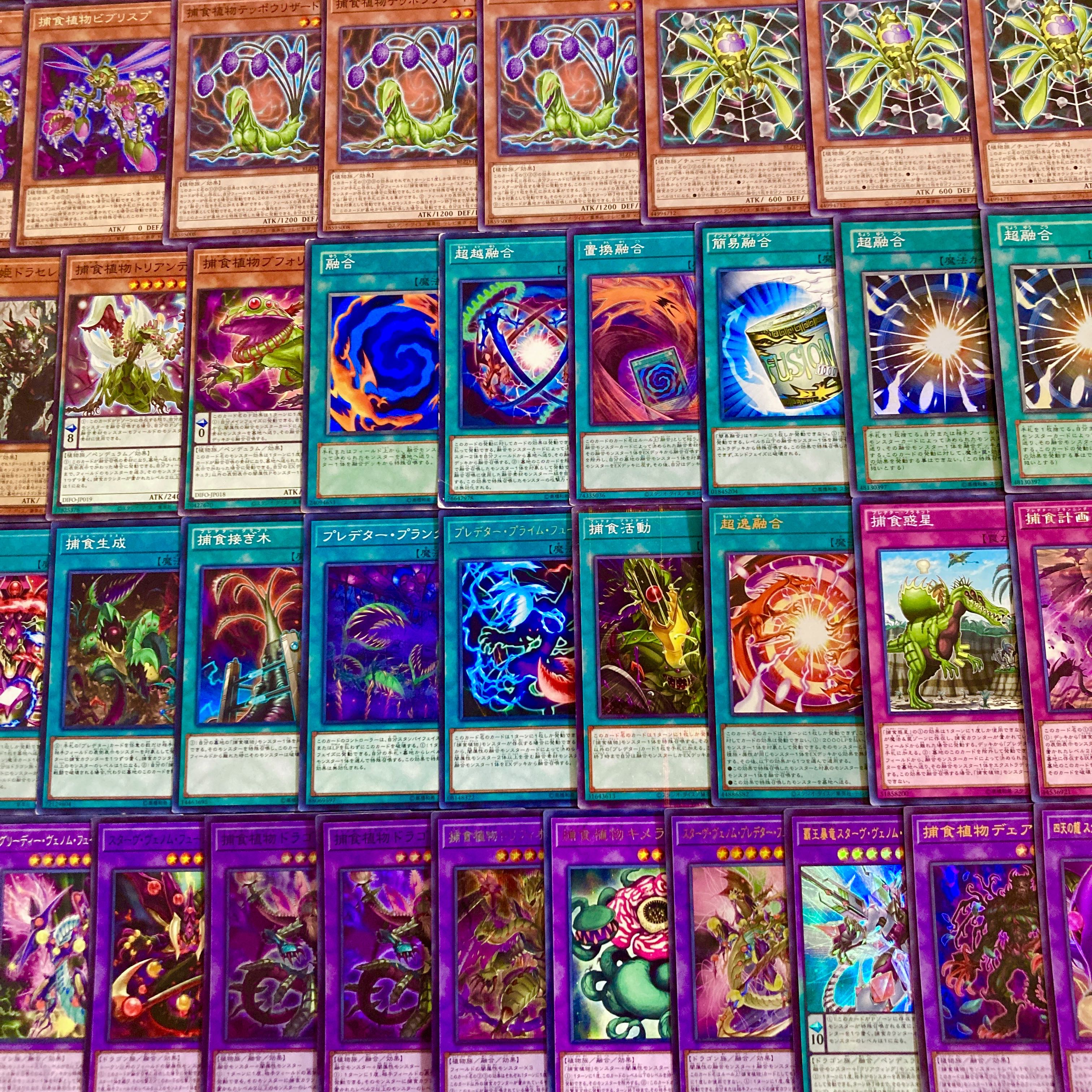 遊戯王【新規入り構築！！】捕食植物デッキ４０枚 1枚