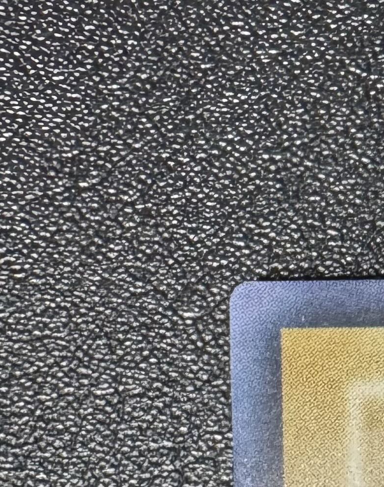 真紅眼の黒竜/レッドアイズブラックドラゴン/ ドラゴン族/遊戯王カード/初期絵 1枚