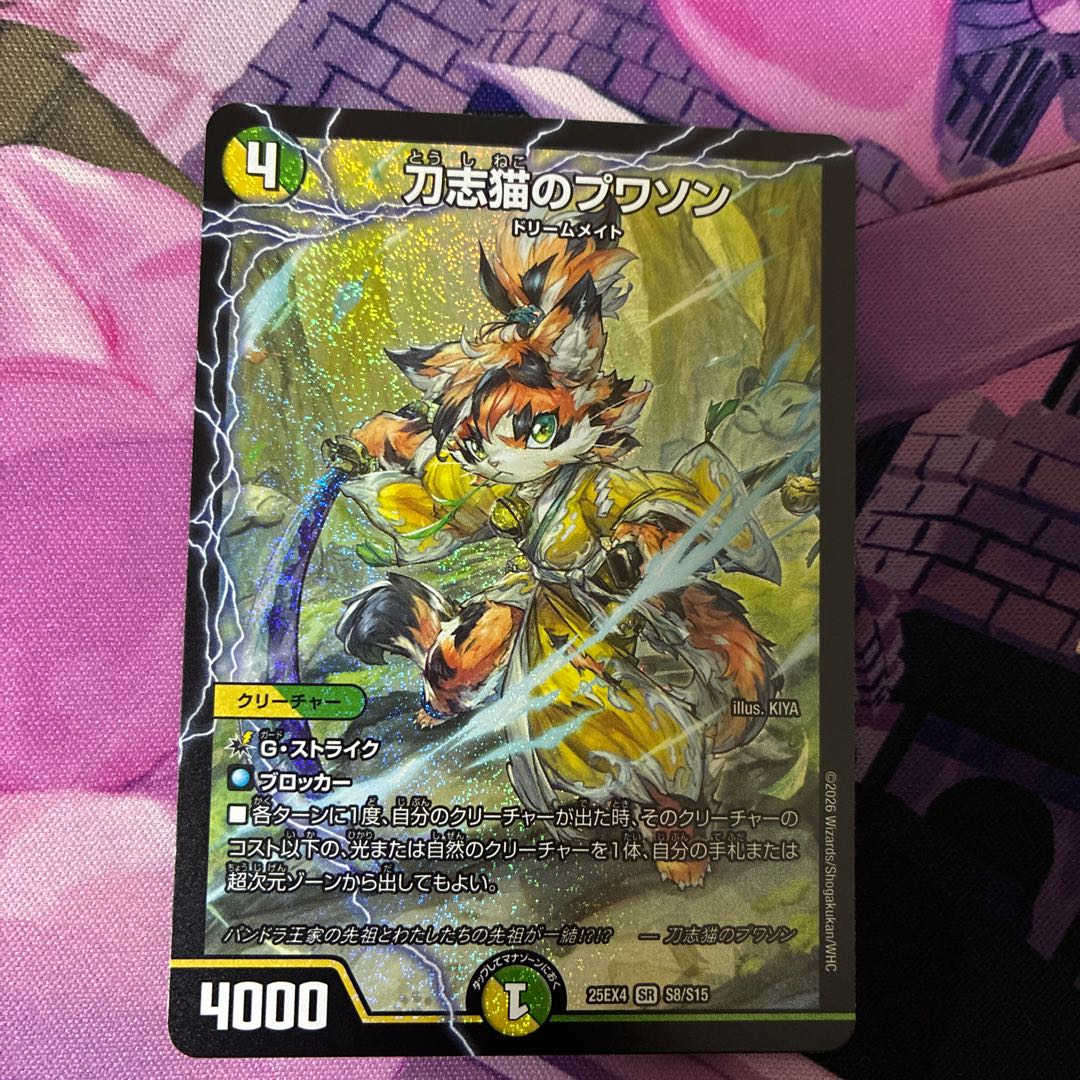 刀志猫のプワソン SR S8/S15 1枚