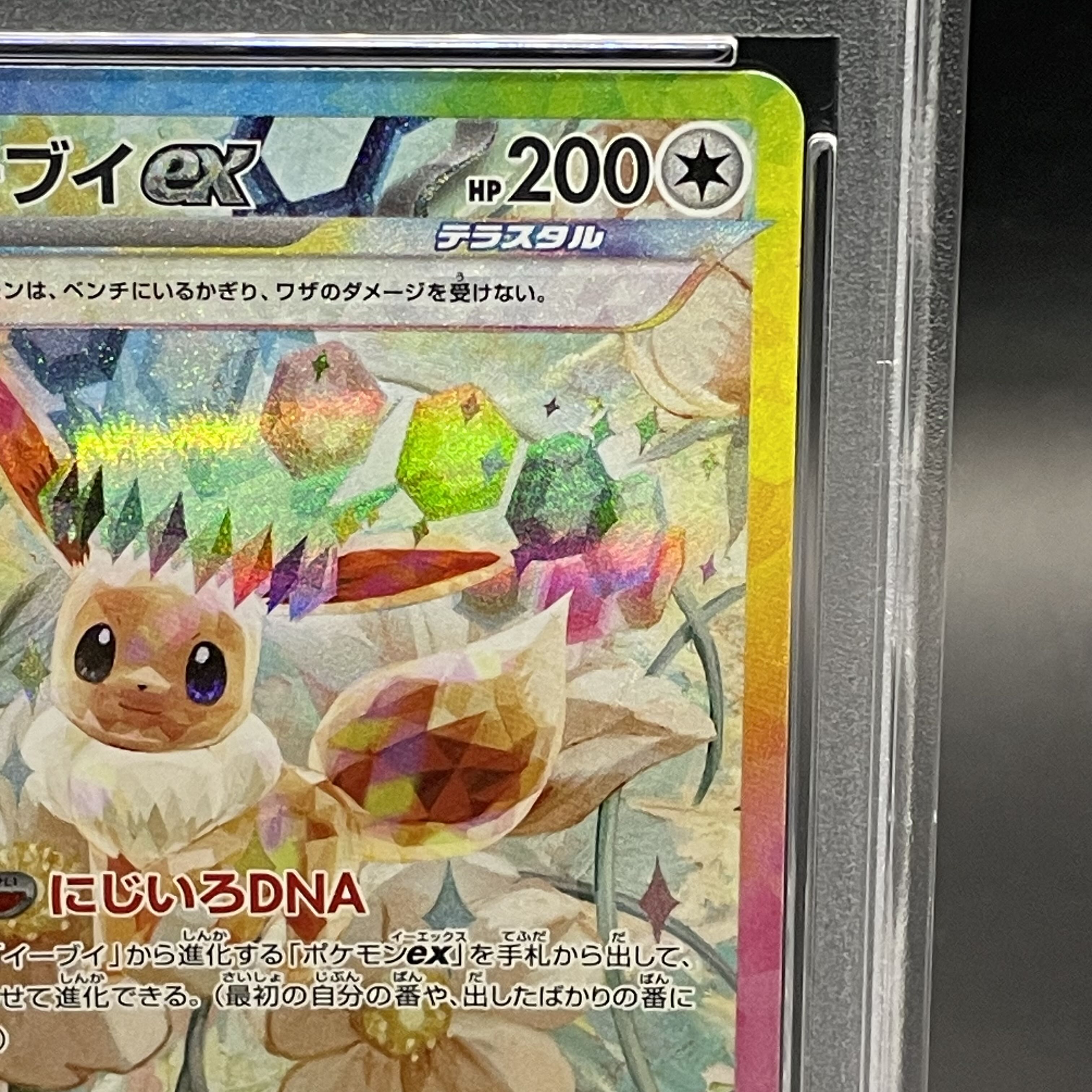PSA10】イーブイex SAR 223/187の通販 土日祝休@magi公式 PSA10】イーブイex SAR 223/187の通販 土日祝休@magi公式