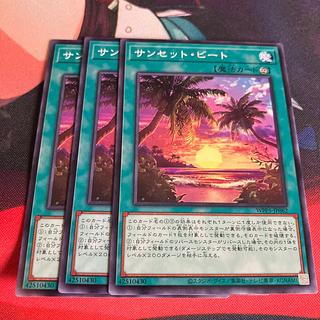 サンセット・ビート ノーマル 3枚