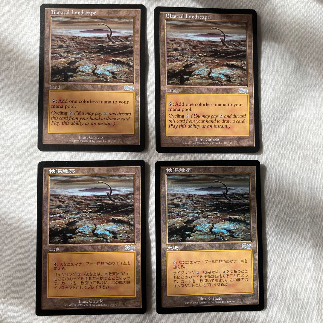 MTG Blasted Landscape/Blasted Landscape USG U Set of 2 English 2 Japanese