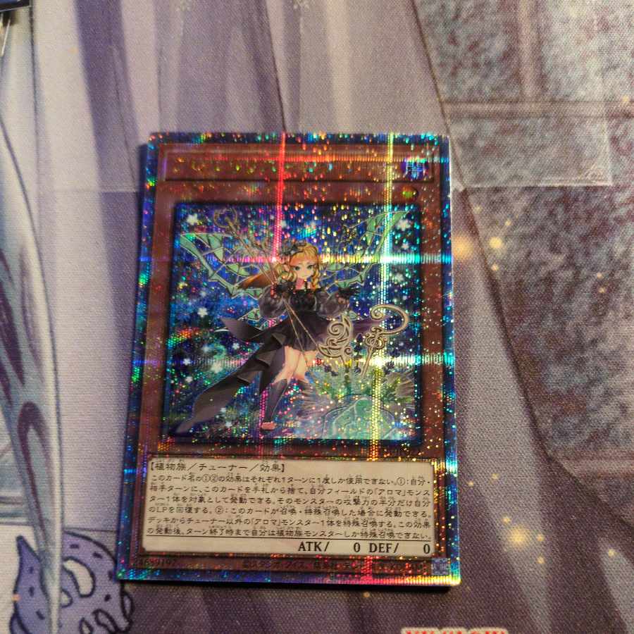 Alomari Squirrel-Rosalina QCSE, 25th Sikh PHNI-JP022