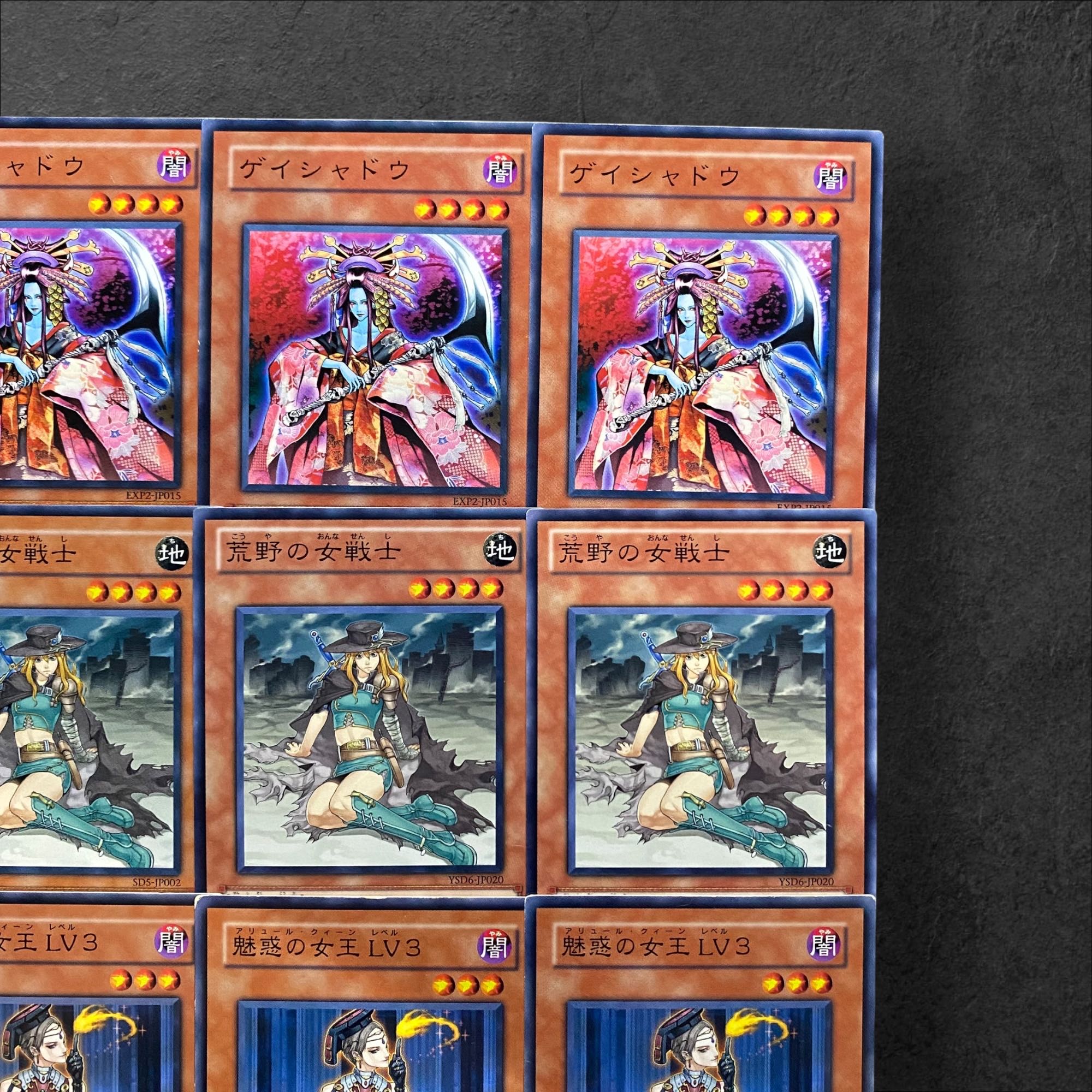 5873【遊戯王】ゲイシャドウ　荒野の女戦士　魅惑の女王ＬＶ３　各3枚セット