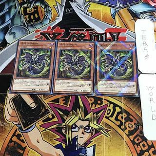 D.D. Warrior Lady 20AP 1 Normal Parallel Set of 3 Tera.