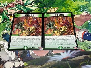 D-181 蔑如と覚悟 C 76/76 2枚