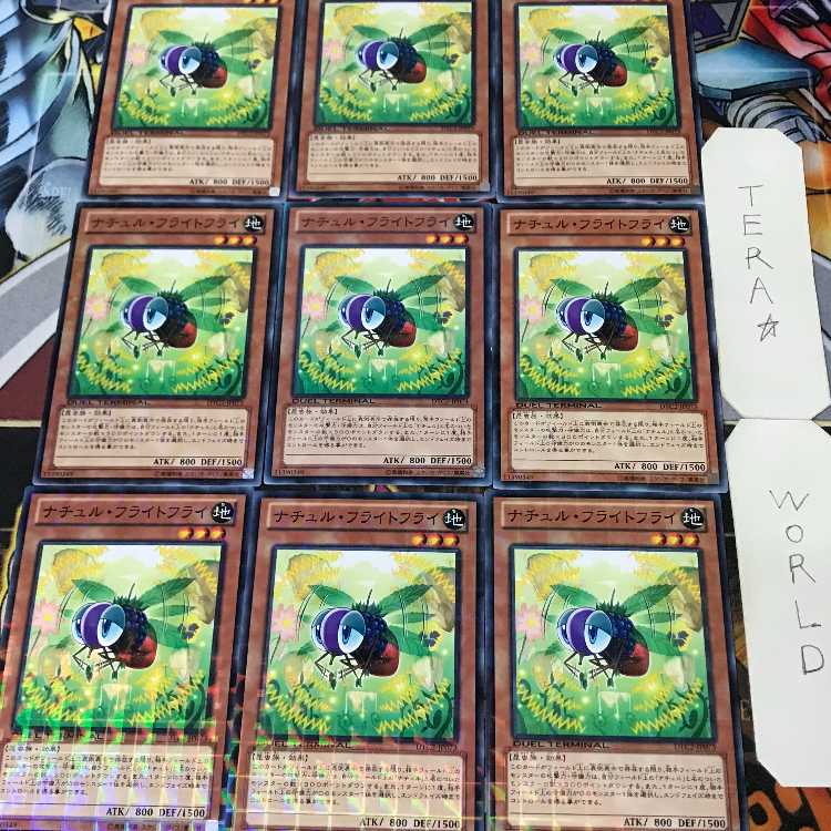 1 Duel Terminal, Effect, Set of 9, Tera. 9枚