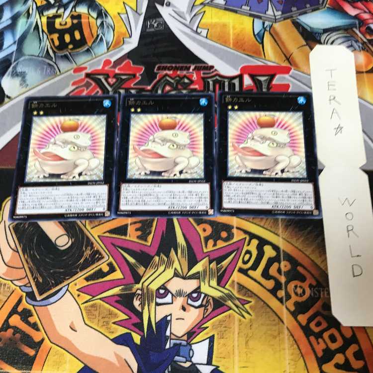 餅カエル INOV 2 レア 3枚セット てら