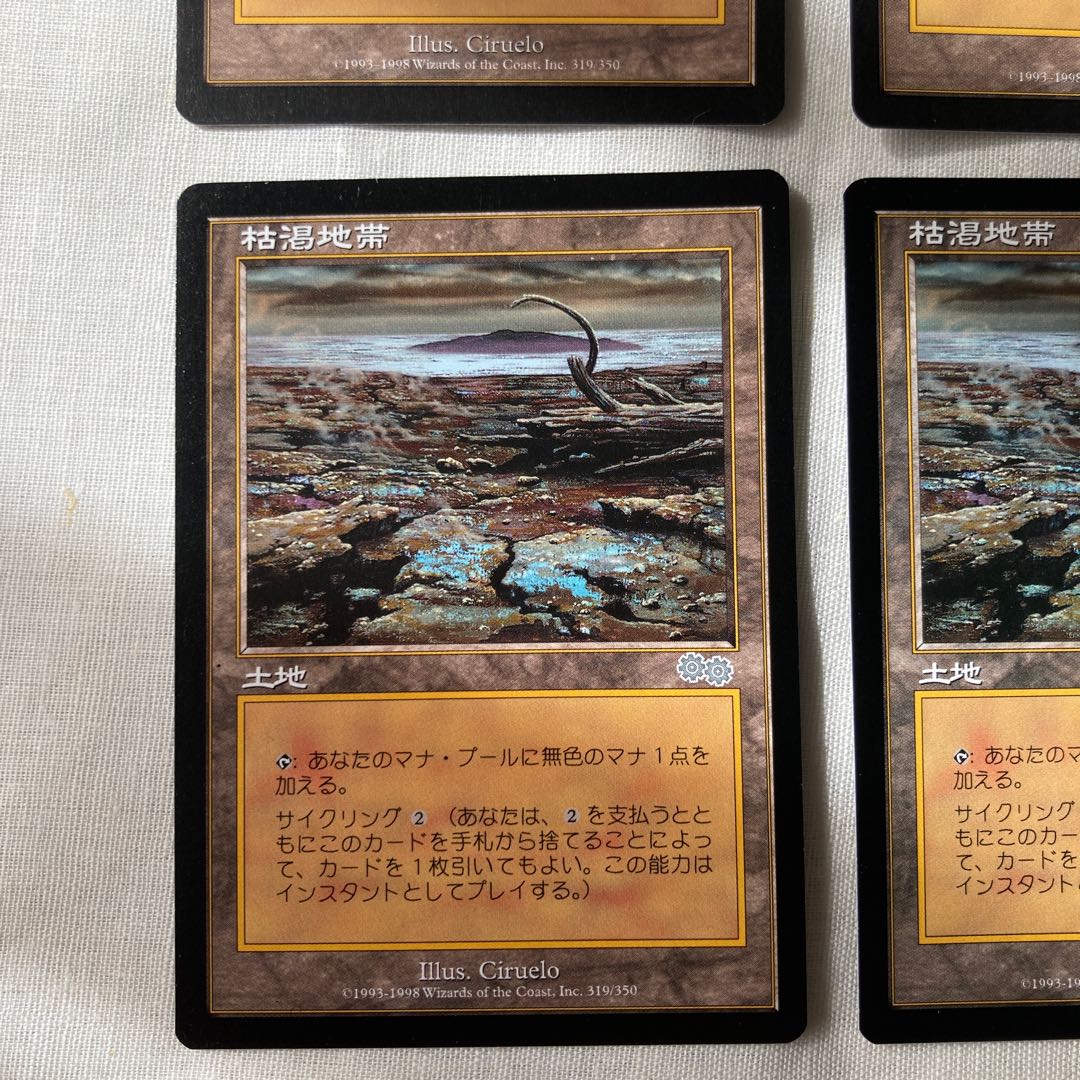 MTG Blasted Landscape/Blasted Landscape USG U Set of 2 English 2 Japanese