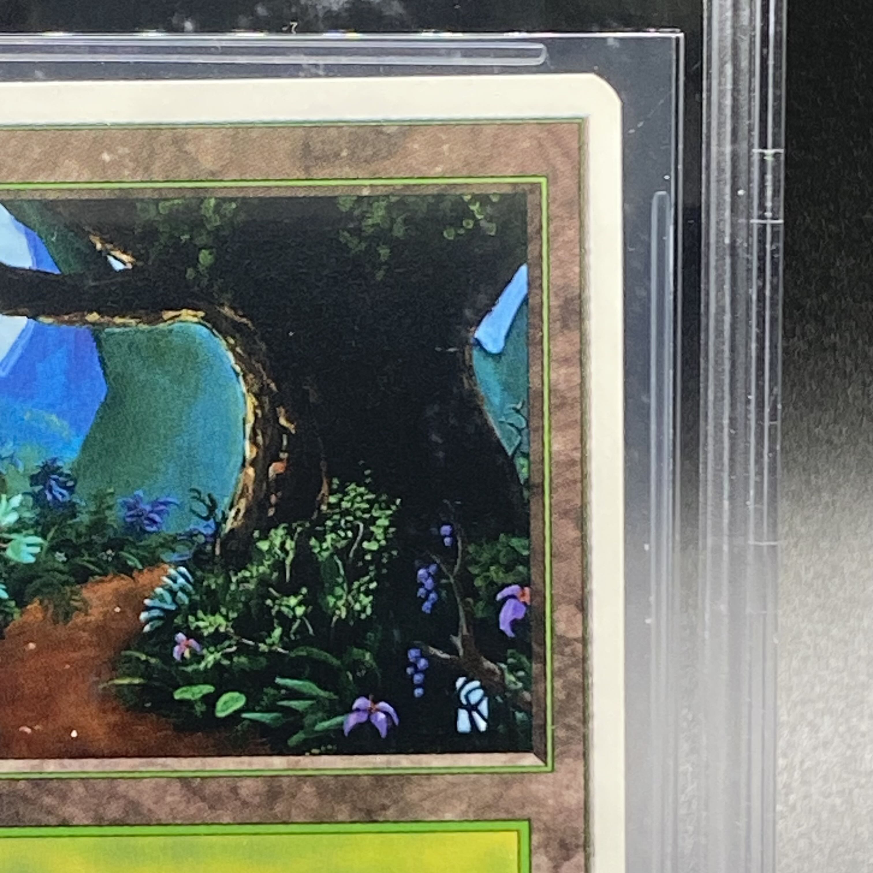 BGS9】森 / Forest 基本土地 サマーマジックの通販 土日祝休