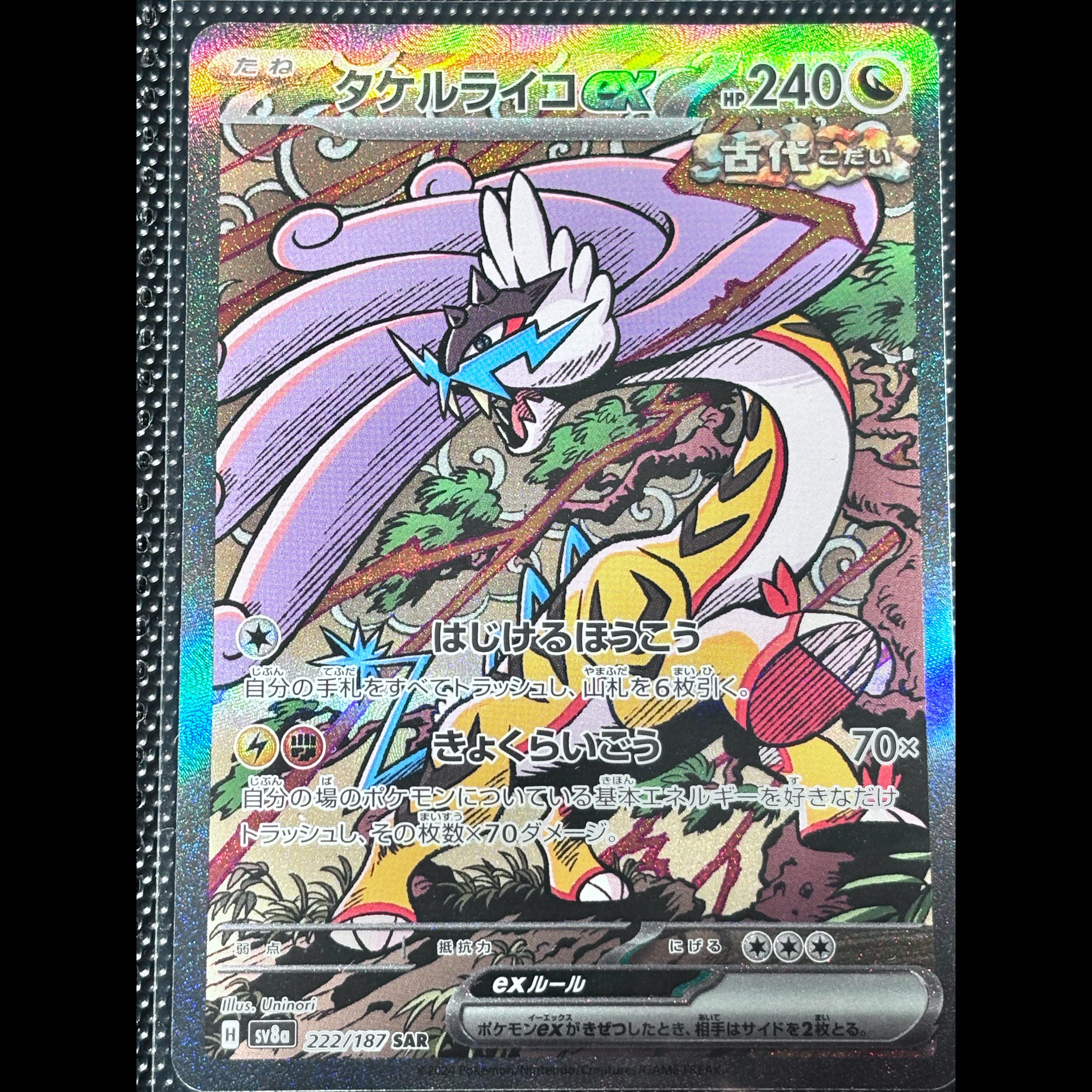 ポケモンカード　テラスタルフェスex タケルライコex SAR 1枚