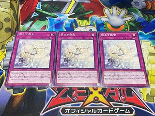 Y-3667 Crime Treasure without Crime Normal ALIN-JP073 3枚