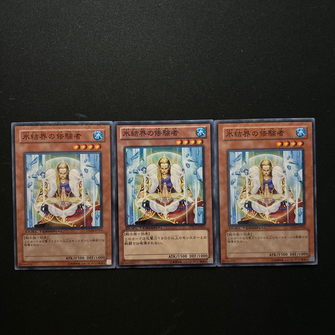 3051 Pilgrim of the Ice Barrier#1622