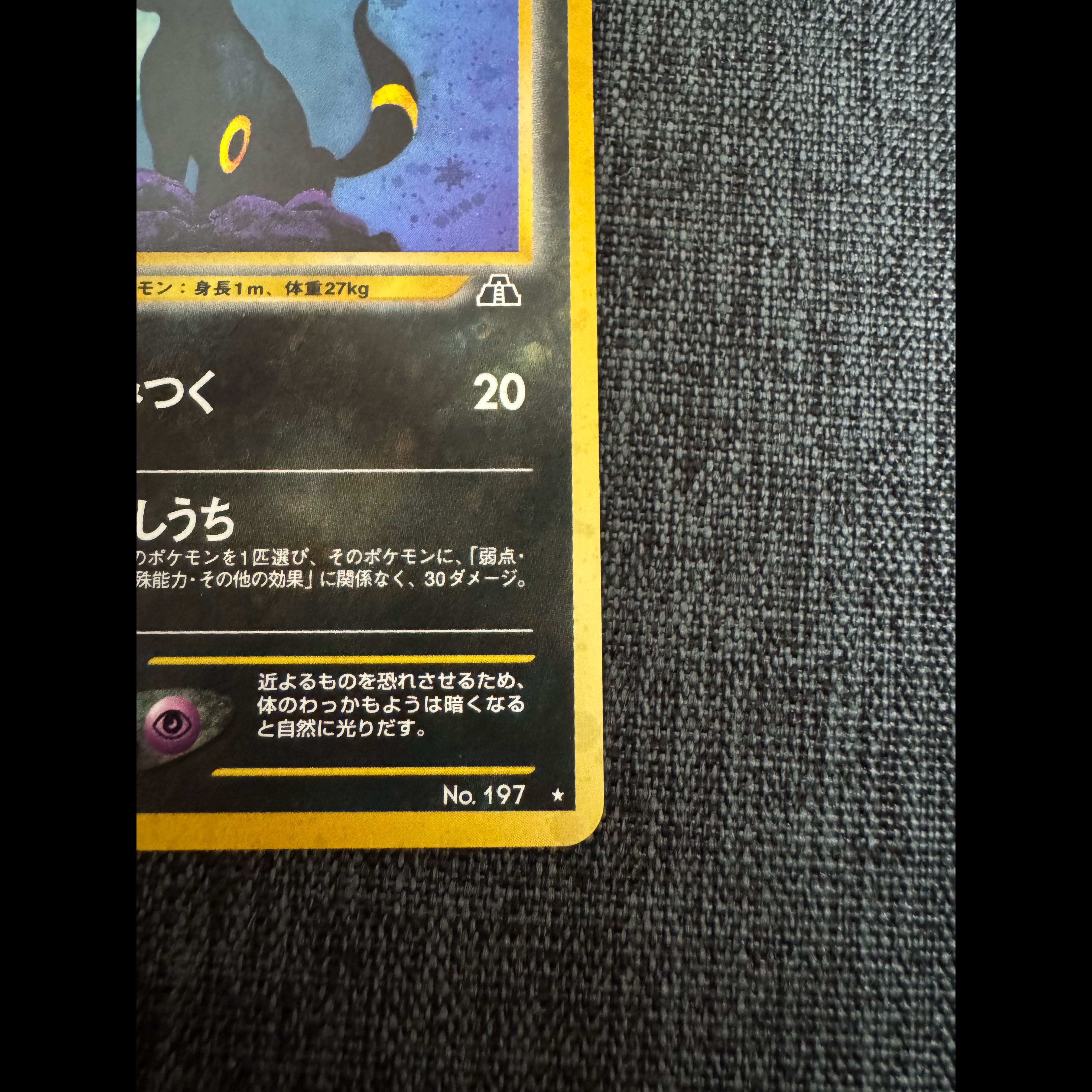 ポケモンカード 旧裏 ブラッキー（キラ） 遺跡をこえて  1枚